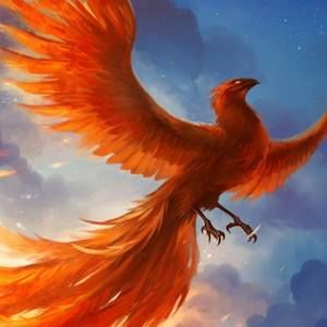 Meet your Posher, Sama